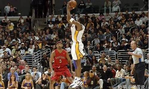 2005年nba得分王是谁_2005年nba得分榜